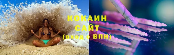 сатива Надым