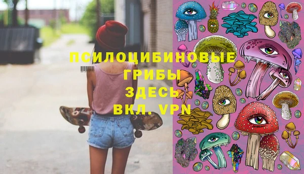 прущая мука Нея
