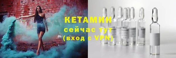 сатива Надым
