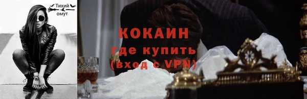 прущие грибы Навашино