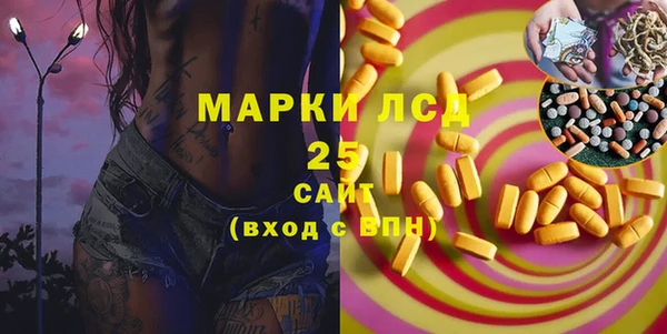 сатива Надым