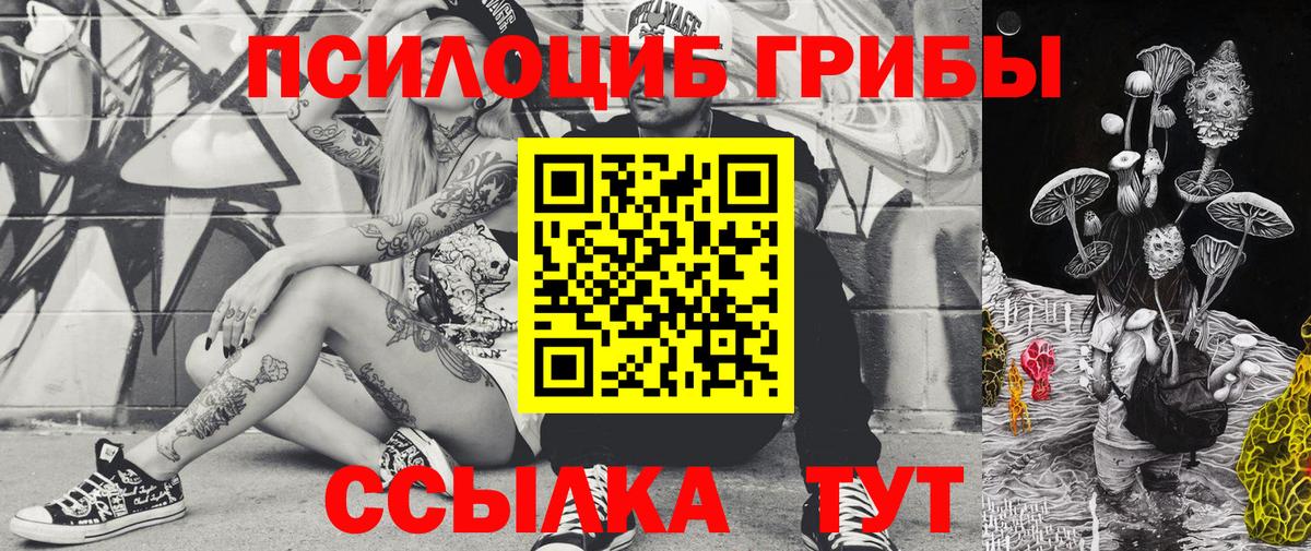Гашиш  Петровск  Кокаин  Меф МЯУ МЯУ кристаллы  Сколько стоит  Метамфетамин  МАРИХУАНА  Вход с VPN  Гашиш  A PVP СОЛЬ   LSD-25 