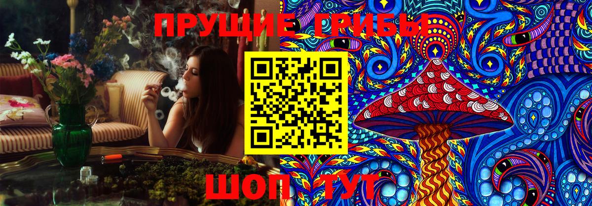 Галлюциногенные грибы мухоморы  Псилоцибиновые грибы GOLDEN TEACHER  Петровск 