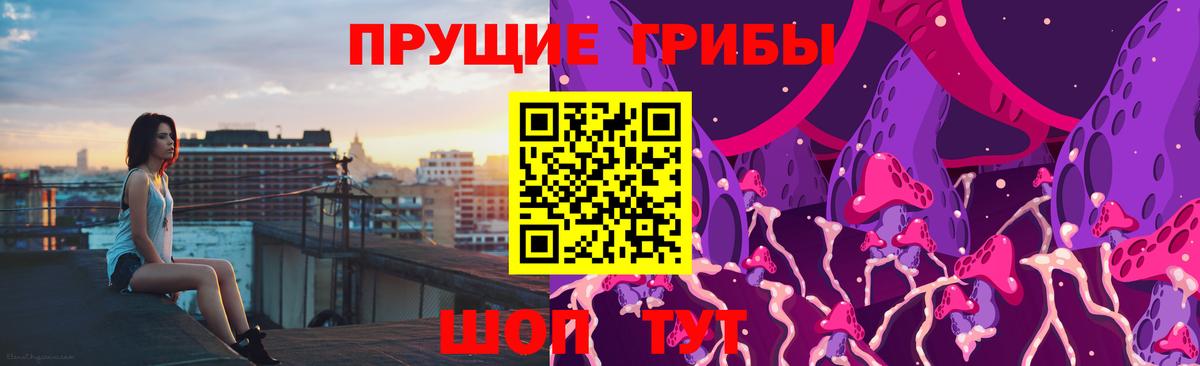 Петровск  Галлюциногенные грибы Psilocybine cubensis  Вход с VPN 